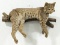 Vtg Bobcat Full Body Mount Taxidermy on Log