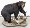 Black Bear Full Body Mount on Habitat Base