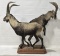 Pair Of Siberian Ibex Full Body Taxidermy Display