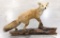 Vtg Red Fox Full Body Taxidermy on Driftwood Base