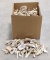 25lbs of Cut Antler Tips & Other Sections