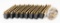220 Rnds 223 Ammo