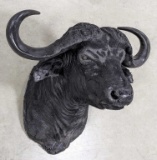 Vtg African Cape Buffalo Shoulder Mount Taxidermy