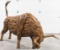 8ft Teak Wood Running Bull Sculpture