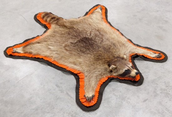 Vtg Large Racoon Hide Matted Rug 48in x 43in