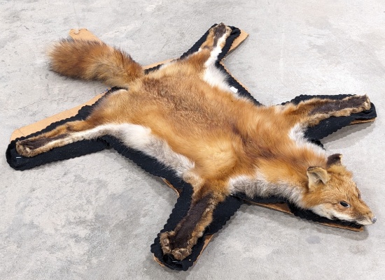 Vtg Red Fox Pelt on Board