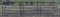 Steel Cattle Panels