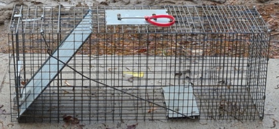 Havahart Large Animal Trap