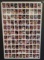 Error 1991 Hoops Basketball Trading Cards Uncut Sheet Featuring 110 Cards