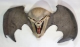 Illusive Concepts Skull Wall Hanging