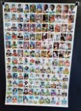 1976 Topps Football Trading Cards Uncut Sheet Featuring 132 Cards Traded Cards
