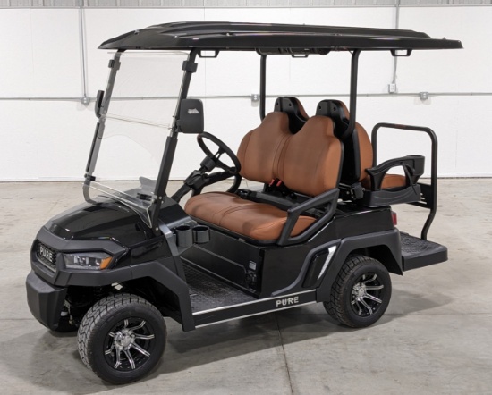 Pure Electric Golf Cart
