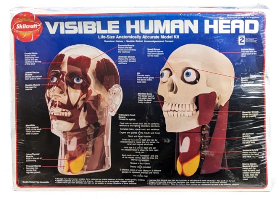Skilcraft Life Size Visible Human Head Anatomically Accurate Model Kit - Sealed