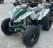 2019 Trail Hawk 10 Rival ATV
