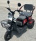 2025 FUTURE 3-Wheeled 48V Electric Cart