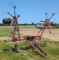 Sitrex RT5800-H Hay Tedder