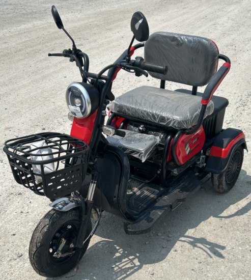 2025 FUTURE 3-Wheeled 48V Electric Cart