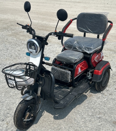 2025 FUTURE 3-Wheeled 48V Electric Cart