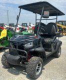 2024 RC Car RC-G4.0 60V Electric Golf Cart