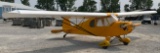Nostalgair N3 Pup