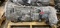 2018-2022 Jeep Wrangler 3.6L V6 Automatic Transmission