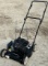 Murray 20Ó Walk Behind Gas Push Lawn Mower