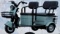 IR 3-Wheeled Electric Cart