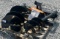 2025 Wolverine Hydraulic Auger Drive & Bit