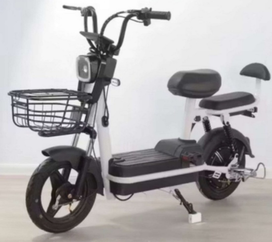 FUTURE 2-Wheeled 48V Electric Bike