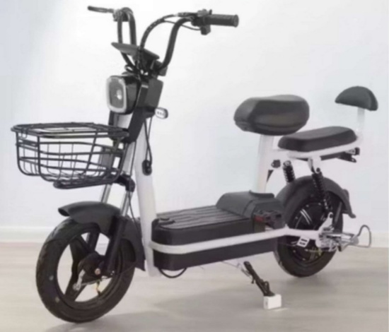 FUTURE 2-Wheeled 48V Electric Bike