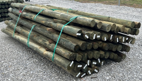 3-1/2" x 8' Treated Posts, 55 Posts