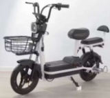 FUTURE 2-Wheeled 48V Electric Bike
