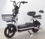 FUTURE 2-Wheeled 48V Electric Bike