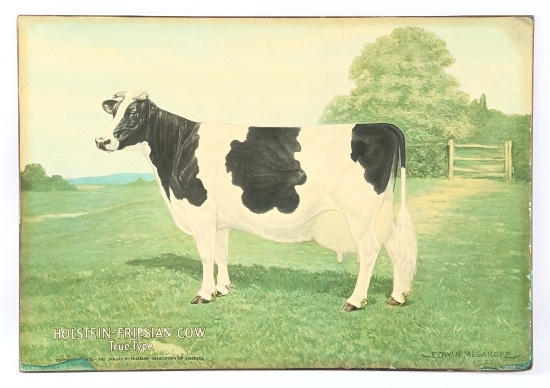 Vintage SS Holstein-Friesian Cow True Type Advertising Sign