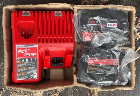 Milwaukee M12 M18 Charger & M18 Red Lithium XC5.0 Batteries