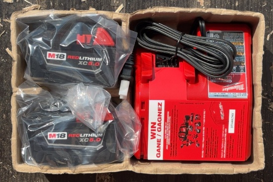Milwaukee M12 M18 Charger & M18 Red Lithium XC5.0 Batteries