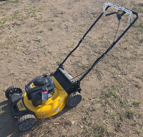 DeWalt Push Mower, Briggs & Stratton 150cc, Rear Wheel Drive