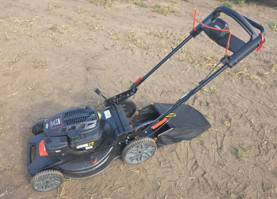 Echo Push Mower LM-2119SP, Briggs & Stratton 190cc