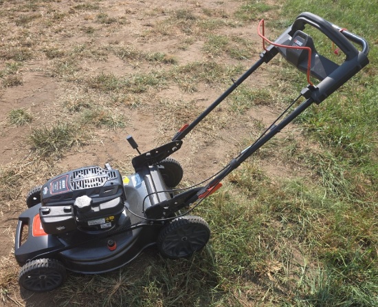 Echo 21" LM-2119SP Self Propelled Mower, Briggs & Stratton 190cc