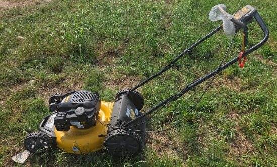 DeWalt Rear Wheel Drive, Briggs & Stratton 163cc