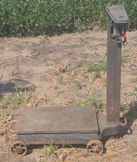 Vintage Platform Floor Scale