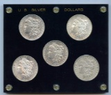 5 High Grade Morgan Silver Dollars, UNC condition