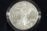 2007-W BURNISHED AMERICAN SILVER EAGLE UNC