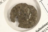 260-A.D. SALONINUS ANCIENT COIN (FINE)