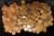 APPROX 400 CANADA ONE CENT COINS:1920-2011 MANY BU