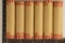6 SOLID DATE ROLLS OF 2007-P LINCOLN CENTS ALL