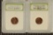 2 SLABBED LINCOLN CENTS: 2009-D FORMATIVE YEARS