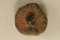 ROMAN ANCIENT COIN