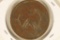 CIRCA 1919 CHINA COPPER 20 CASH COIN