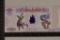 2022 PEOPLES REPUBLIC OF CHINA DRAGON & PHOENIX